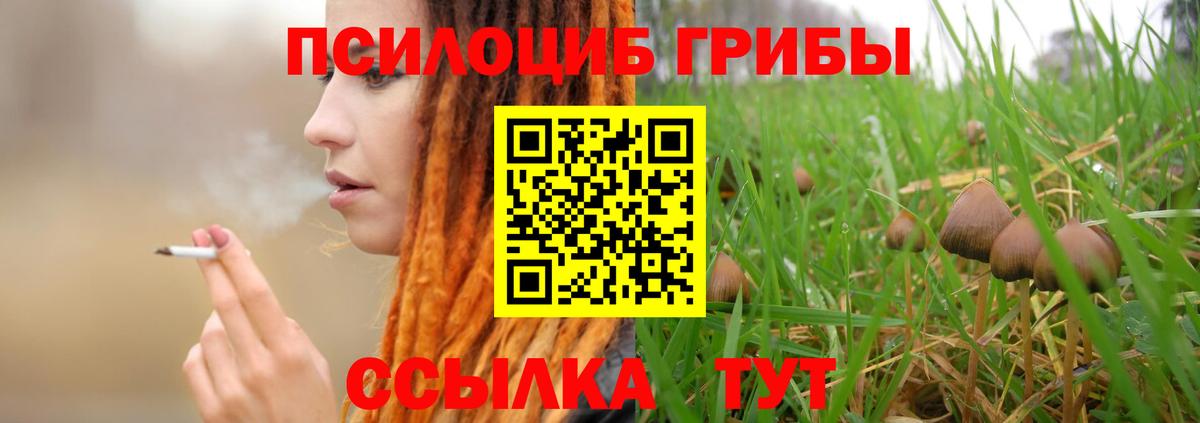 Галлюциногенные грибы Psilocybine cubensis Каменка