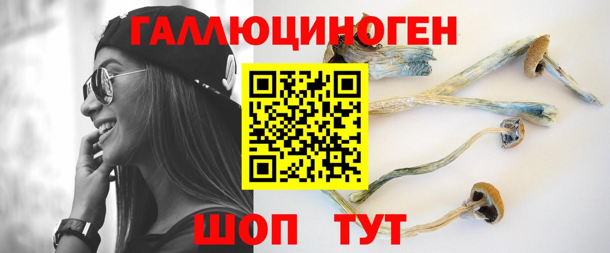 Галлюциногенные грибы мухоморы  продажа наркотиков  Каменка  Вход с VPN 